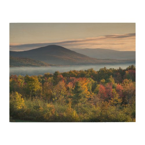 Fall Colors in the White Mountains Wood Wall Art