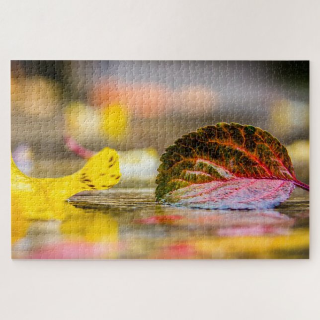 Fall colors jigsaw puzzle (Horizontal)