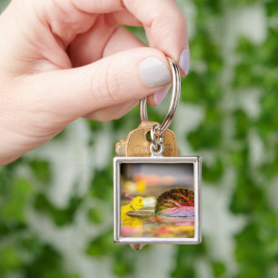 Fall colors keychain