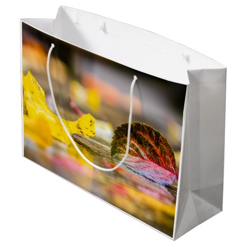 Fall colors large gift bag