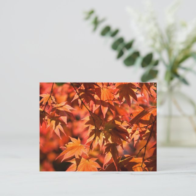 Fall Colors Leaves Red Holiday Postcard (Standing Front)