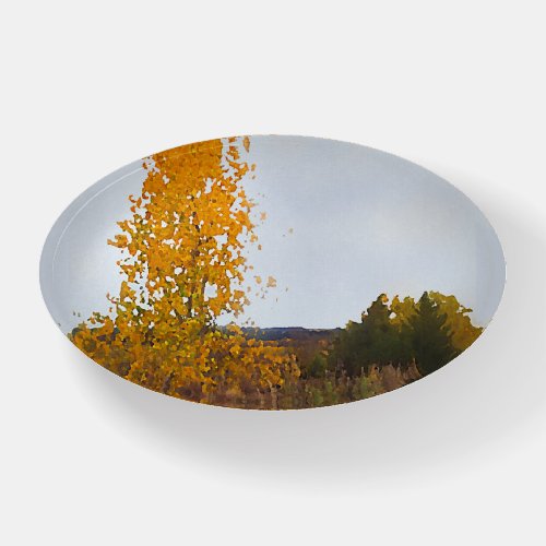 Fall Colors Lone Cottonwood Tree Impressionist Art Paperweight