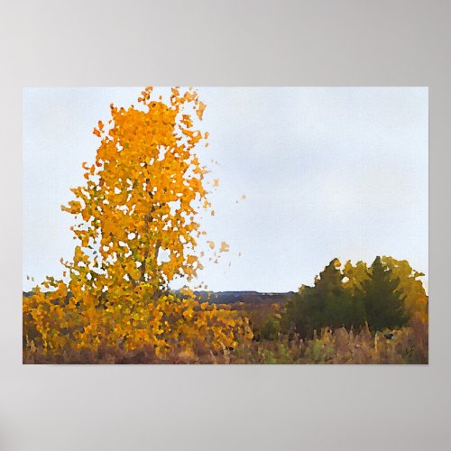 Fall Colors Lone Cottonwood Tree Impressionist Art Poster