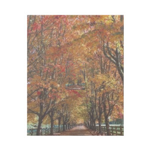 "Fall Colors Maple Tree Wall Art 16x20 – Vibrant A