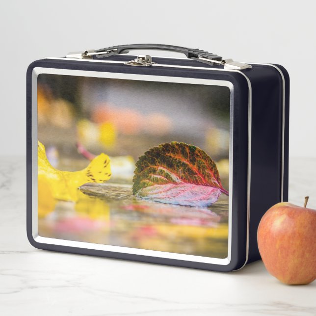 Fall colors metal lunch box (In Situ)