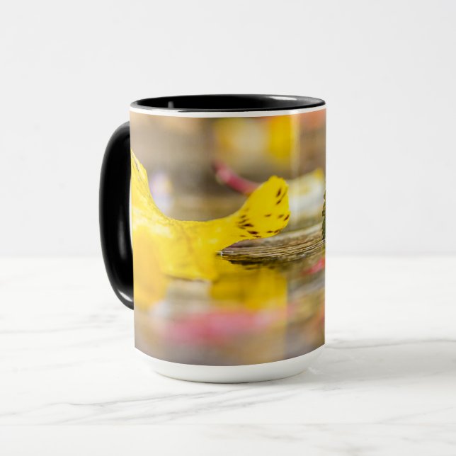 Fall colors mug (Front Left)