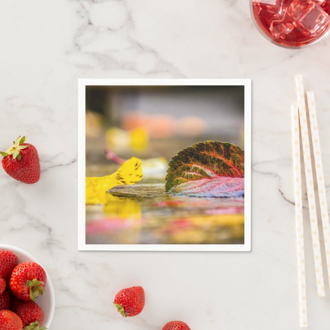 Fall colors napkins (Insitu)