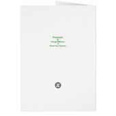 Fall Colors Note Card (Back)