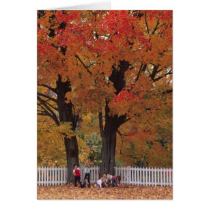 Fall Colors Note Card