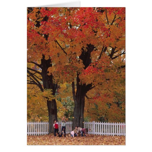 Fall Colors Note Card (Front)