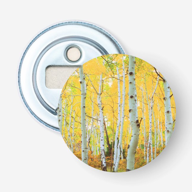 Fall colors of Aspen trees 1 Bottle Opener (Front)