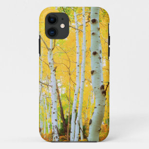 Fall colors of Aspen trees 1 iPhone 11 Case