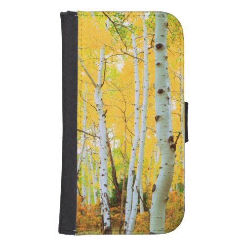 Fall colors of Aspen trees 1 Samsung S4 Wallet Case