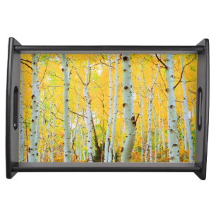 Fall colors of Aspen trees 1 Serving Tray