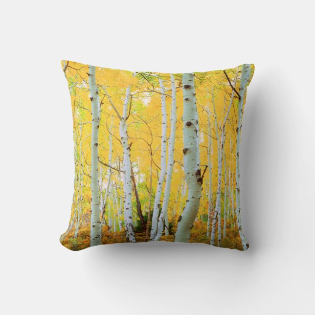 Fall colors of Aspen trees 1 Throw Pillow (Front)
