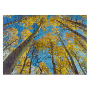 Fall colors of Aspen trees 2 Cutting Board