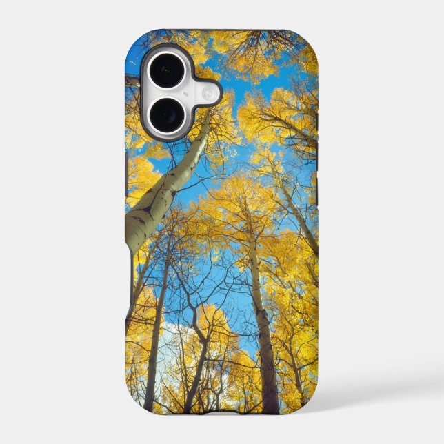 Fall colors of Aspen trees 2 Iphone Case (Back)