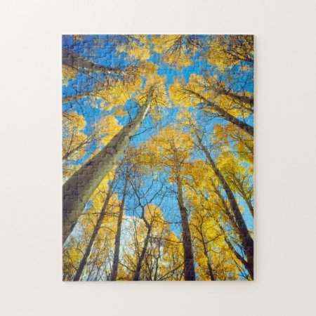 Fall Colors Of Aspen Trees 2 Jigsaw Puzzle