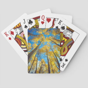 Fall colors of Aspen trees 2 Poker Cards