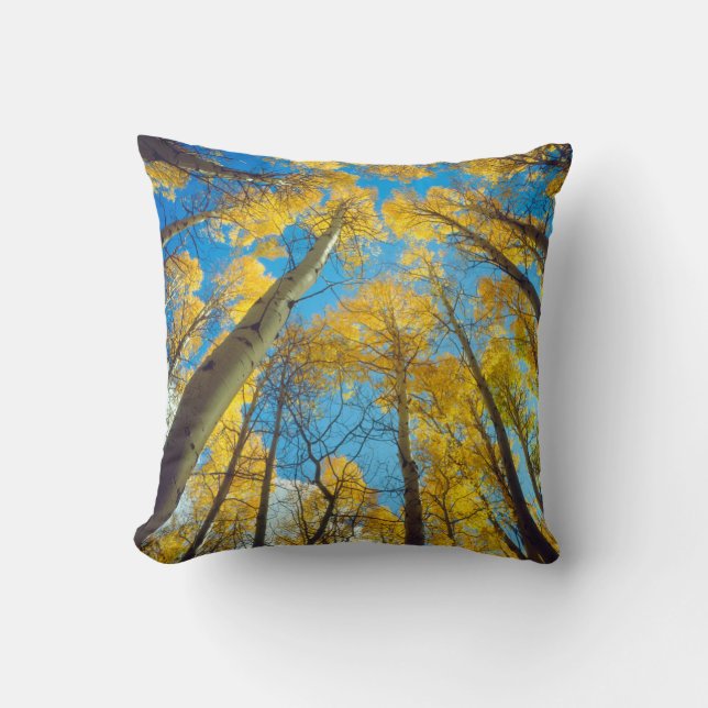 Fall colors of Aspen trees 2 Throw Pillow (Front)