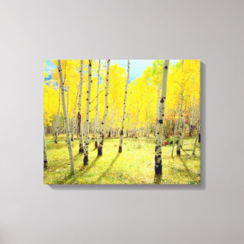 Fall colors of Aspen trees 4 Canvas Print