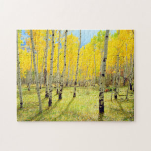 Fall colors of Aspen trees 4 Jigsaw Puzzle