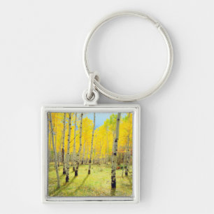 Fall colors of Aspen trees 4 Keychain