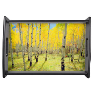 Fall colors of Aspen trees 4 Serving Tray