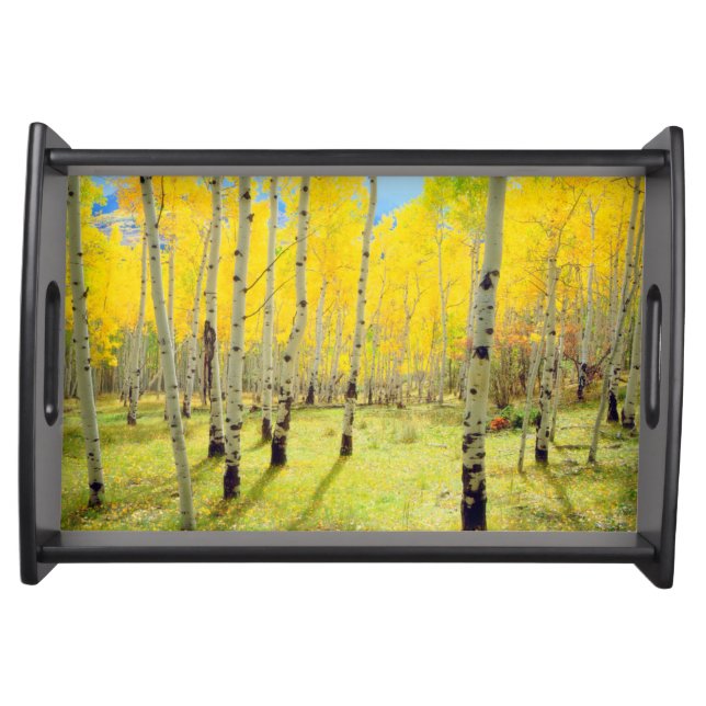 Fall colors of Aspen trees 4 Serving Tray (Front)