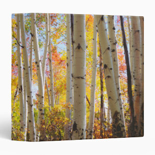 Fall colors of Aspen trees 5 Binder