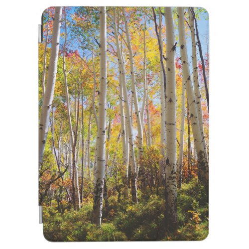 Fall colors of Aspen trees 5 iPad Air Cover