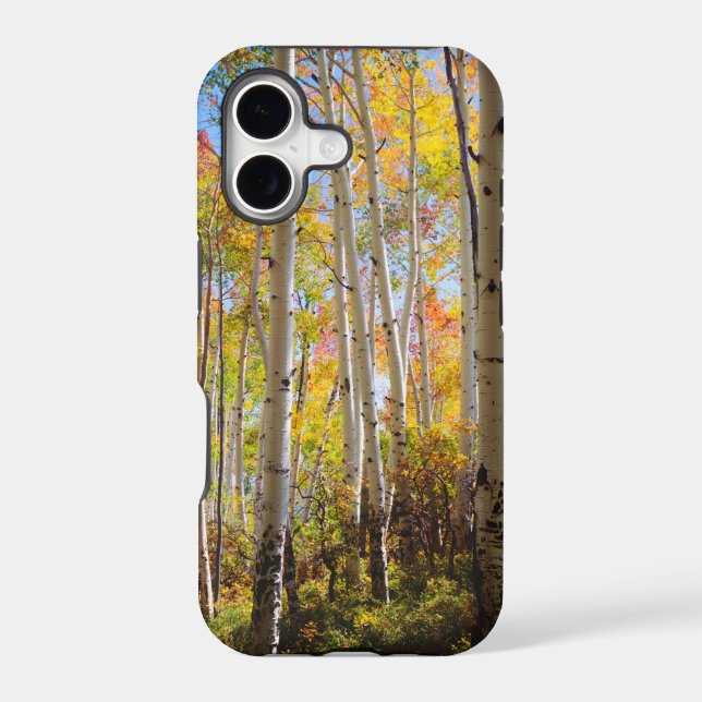 Fall colors of Aspen trees 5 Iphone Case (Back)