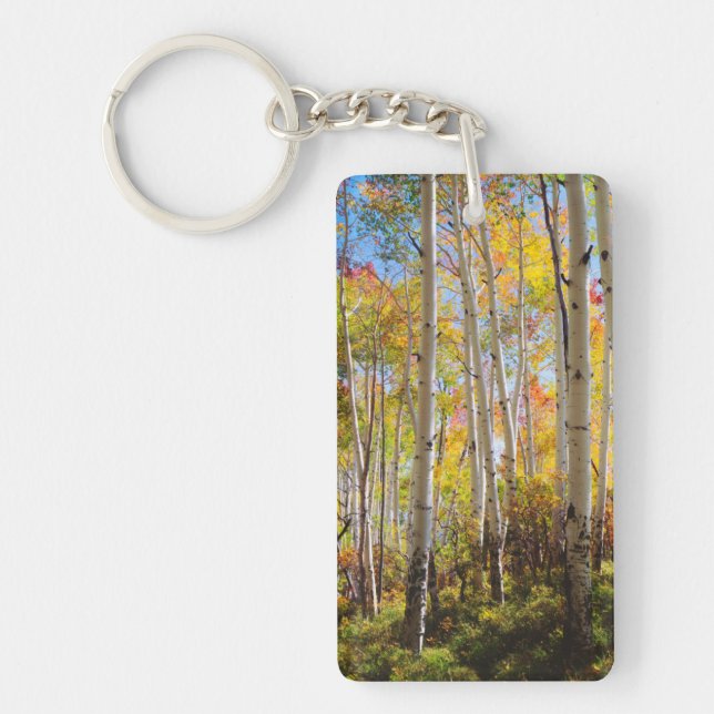 Fall colors of Aspen trees 5 Keychain (Front)