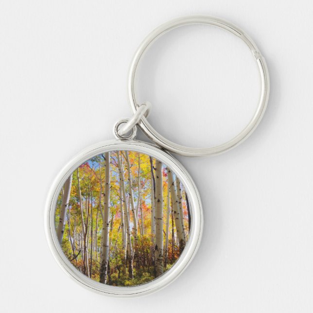 Fall colors of Aspen trees 5 Keychain (Front)