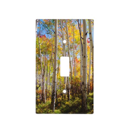 Fall colors of Aspen trees 5 Light Switch Cover