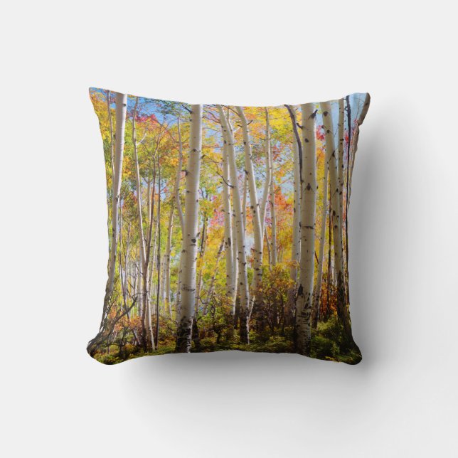Fall colors of Aspen trees 5 Throw Pillow (Front)