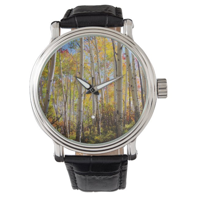 Fall colors of Aspen trees 5 Watch (Front)