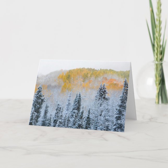 Fall Colors of Aspens & Fresh Snow Keebler Pass Card (Front)