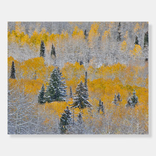 Fall Colors of Aspens & Fresh Snow Keebler Pass Foam Board
