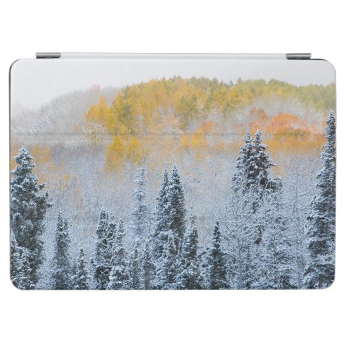 Fall Colors of Aspens  Fresh Snow Keebler Pass iPad Air Cover