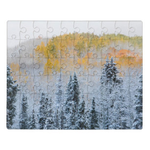 Fall Colors of Aspens & Fresh Snow Keebler Pass Jigsaw Puzzle