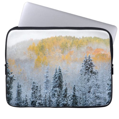 Fall Colors of Aspens  Fresh Snow Keebler Pass Laptop Sleeve