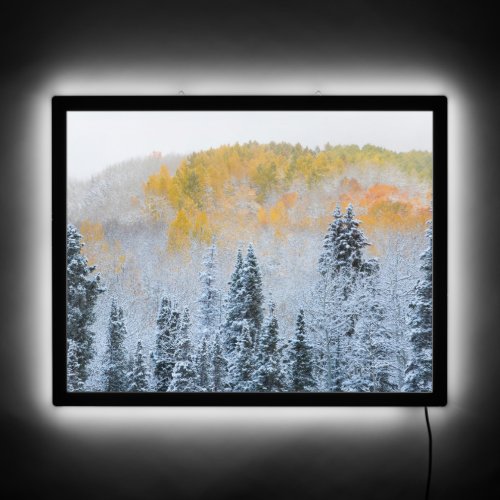 Fall Colors of Aspens  Fresh Snow Keebler Pass LED Sign