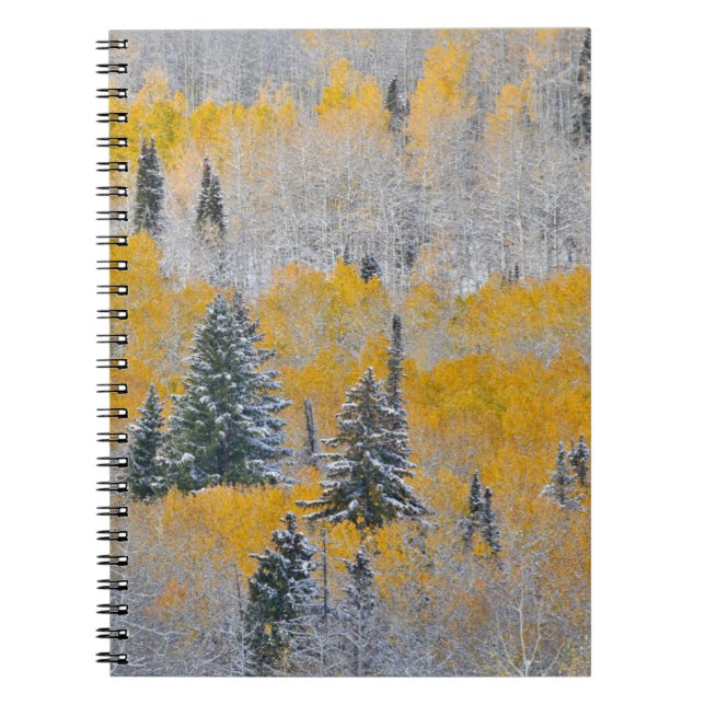 Fall Colors of Aspens & Fresh Snow Keebler Pass Notebook (Front)