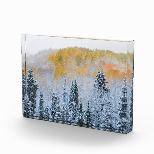 Fall Colors of Aspens  Fresh Snow Keebler Pass Photo Block