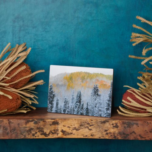 Fall Colors of Aspens  Fresh Snow Keebler Pass Plaque