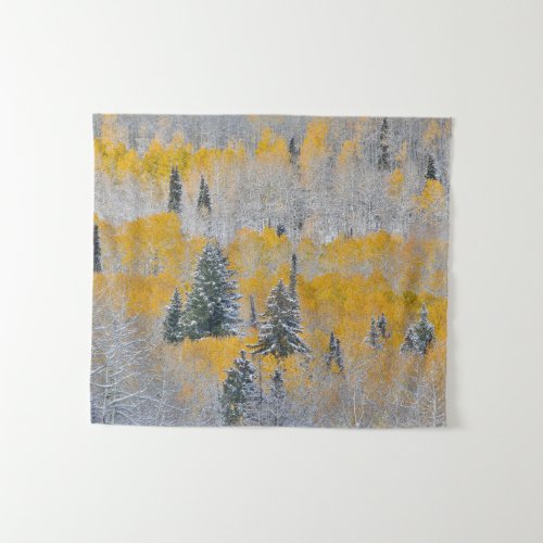 Fall Colors of Aspens  Fresh Snow Keebler Pass Tapestry