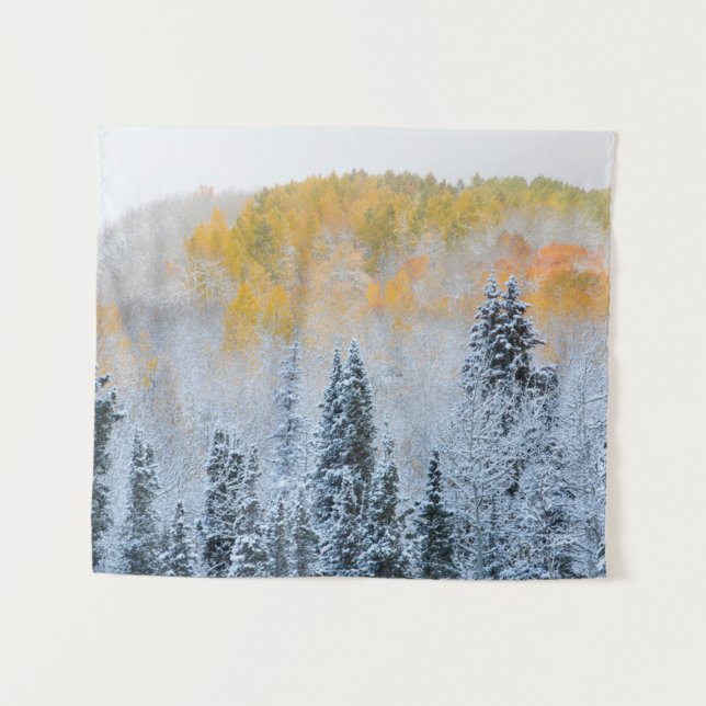 Fall Colors of Aspens & Fresh Snow Keebler Pass Tapestry (Front (Horizontal))