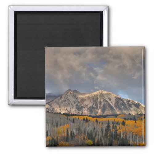 Fall Colors of Aspens Keebler Pass Magnet