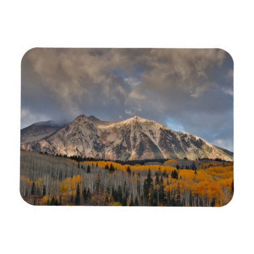 Fall Colors of Aspens Keebler Pass Magnet